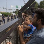 refugees-stranded-serbian-hungary-border