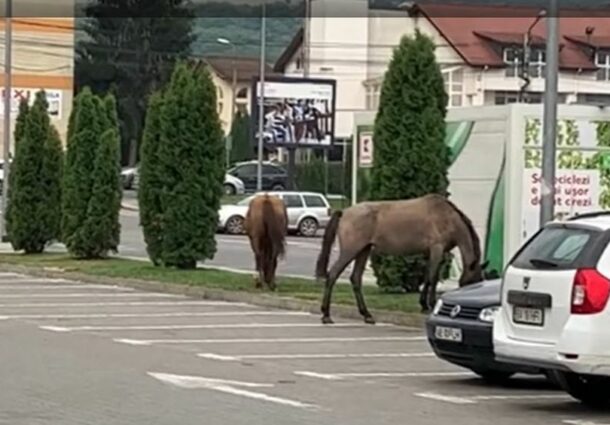 cai, parcare, Kaufland, Alba Iulia