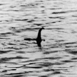 nessie