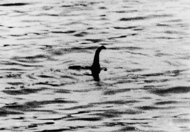 nessie