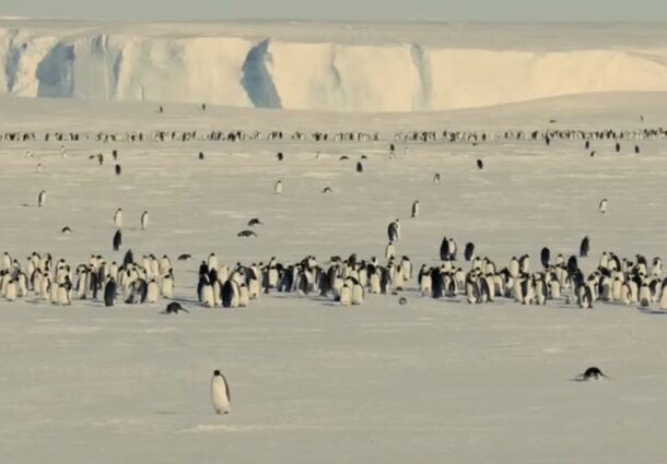 antarctica, schimbari climatice