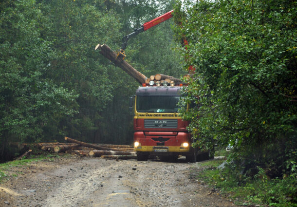 Camion cherestea