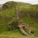 sycamore-gap