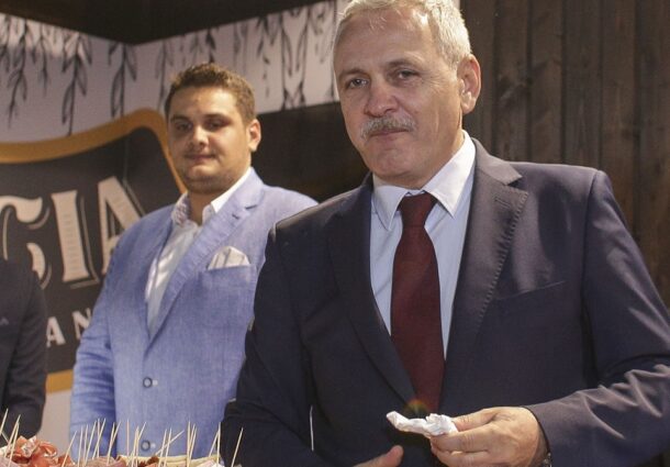 Stefan Valentin Dragnea, ferma de porci, faliment, amanare, Salcia, Liviu Dragnea