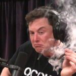 musk-marijuana