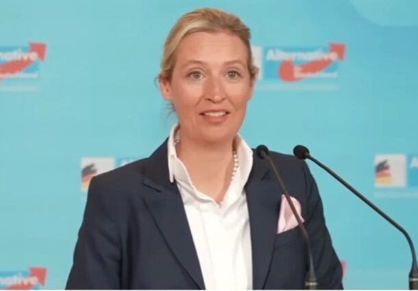 alice weidel, afd