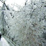 freezing-rain-meteo-iarna