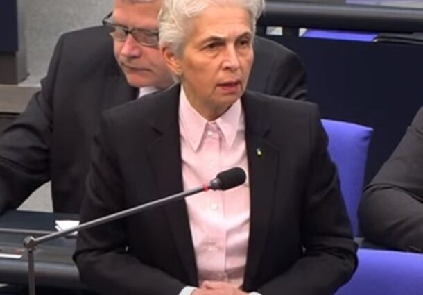 agnes strack zimmermann, bundestag