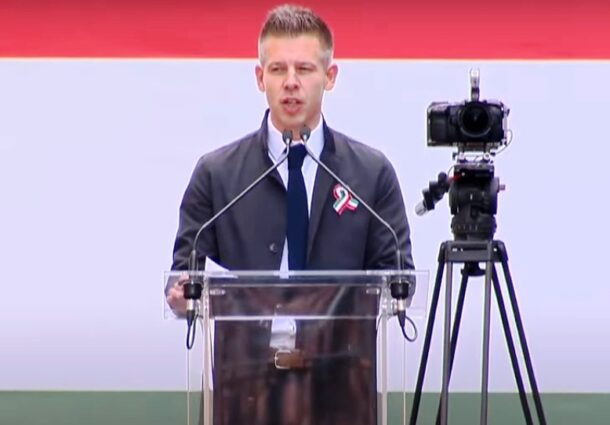 Peter Magyar, spionati, mafia, Viktor Orban