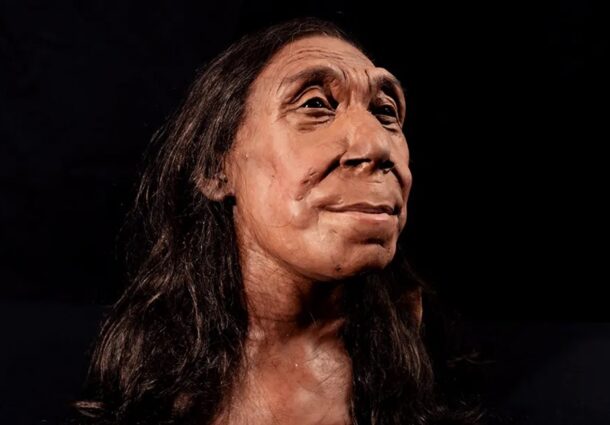 femeie de neanderthal, reconstituire, craniu, 3D