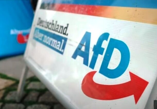 afd, germania