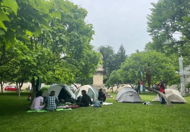 Universitate, Panduri, evacuare, manifestanti, pro-Palestina