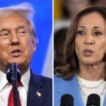 trump-harris