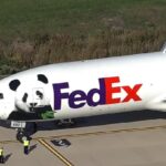 fedex-3