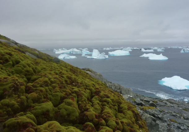 Antarctica